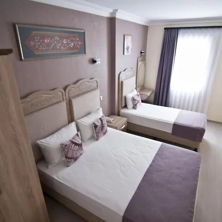 Hotel Artefes Old Istanbulská provincie