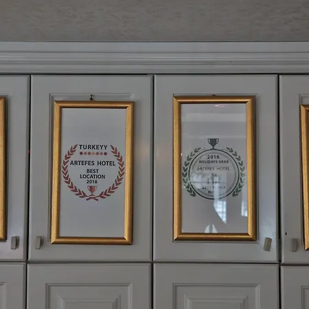 ホテル Artefes Old イスタンブール